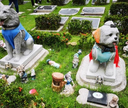 Burial plot for Pets