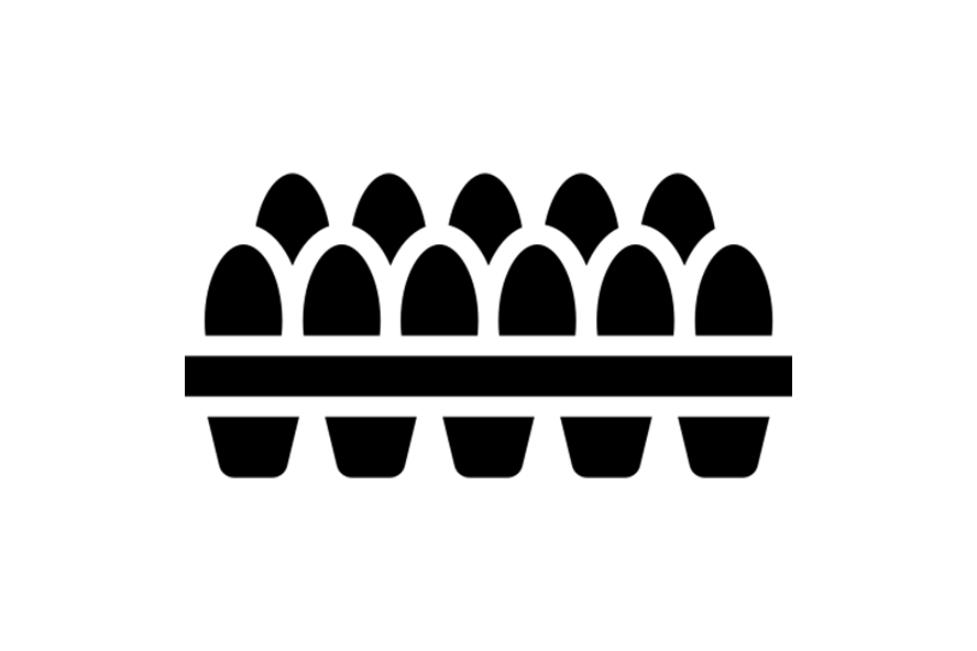 Plastic Egg Tray